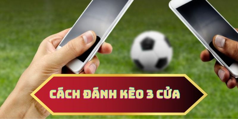 Các thắc mắc thường gặp về điều khoản sử dụng của mcafeeactivate.us.com